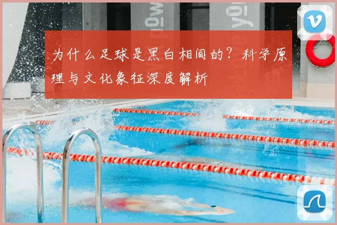 为什么足球是黑白相间的？科学原理与文化象征深度解析
