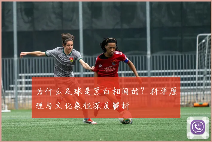 为什么足球是黑白相间的？科学原理与文化象征深度解析